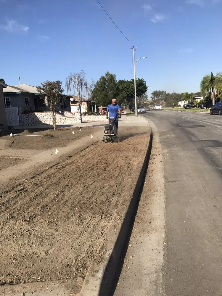 Expert landscape design in Long Beach, CA by Jose Landscaping And Gardening Services