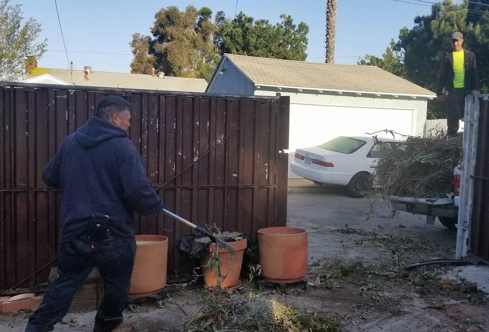 Professional outdoor landscaping in Long Beach, CA by Jose Landscaping And Gardening Services