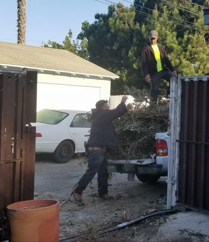 Top-rated yard cleanup service near you across Long Beach, CA - Jose Landscaping And Gardening Services