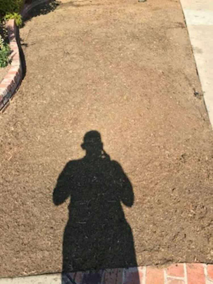 Expert landscape design for year-round maintenance in Long Beach, CA by Jose Landscaping And Gardening Services