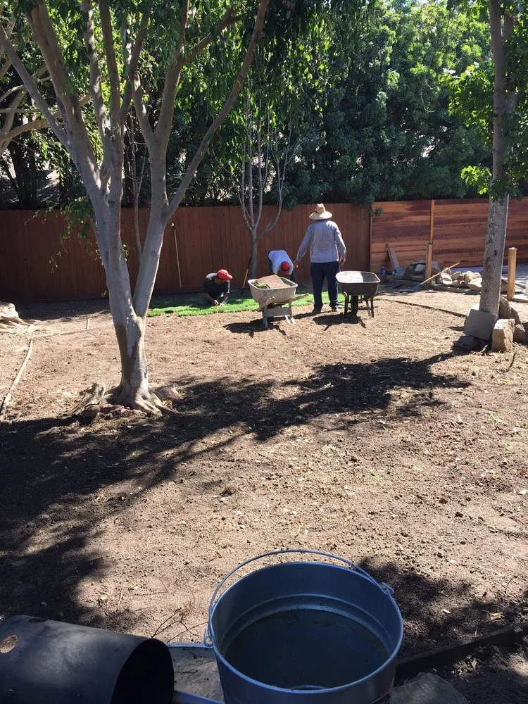 Affordable lawn mowing service for beautiful yards in Long Beach, CA by Jose Landscaping And Gardening Services