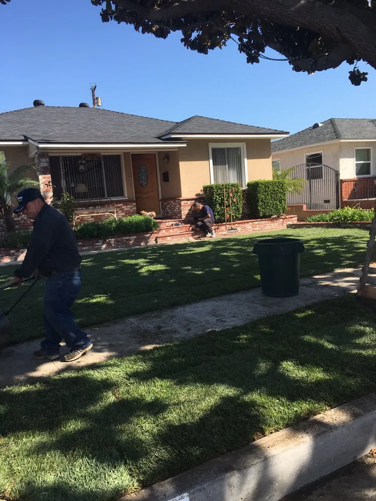 Trusted garden landscaping in Long Beach, CA - Jose Landscaping And Gardening Services