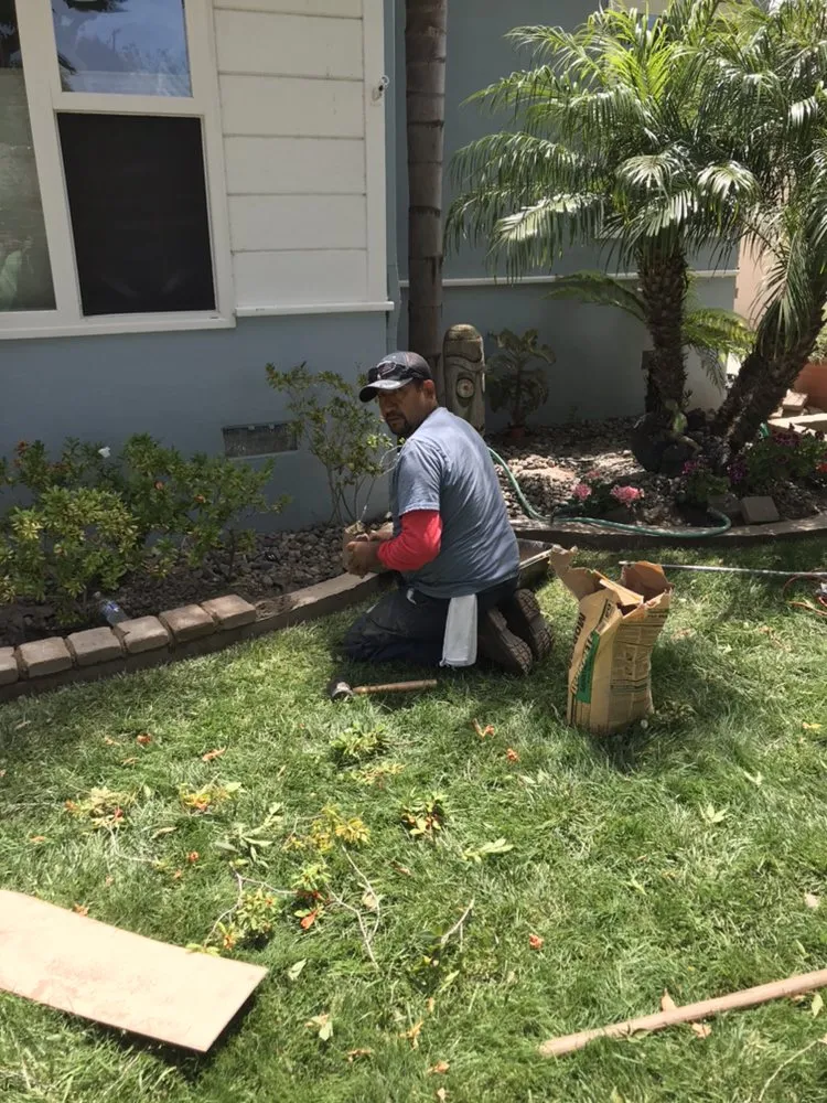 Top-rated landscape design in Long Beach, CA by Jose Landscaping And Gardening Services