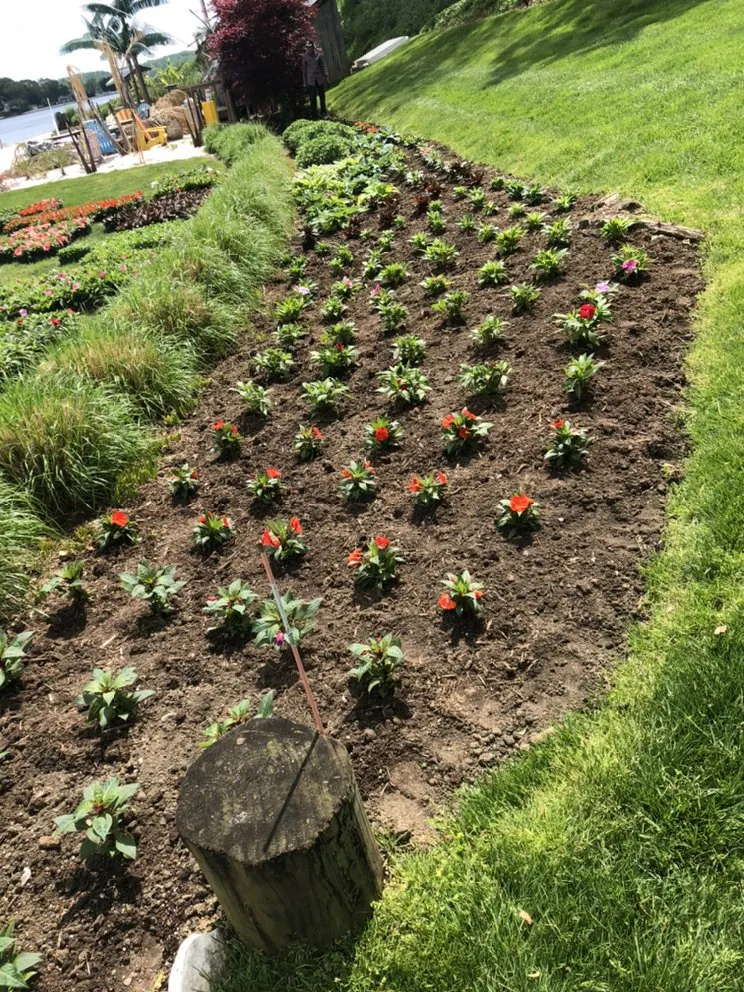 Reliable lawn care service with custom design across Annapolis, MD - Jose Landscaping