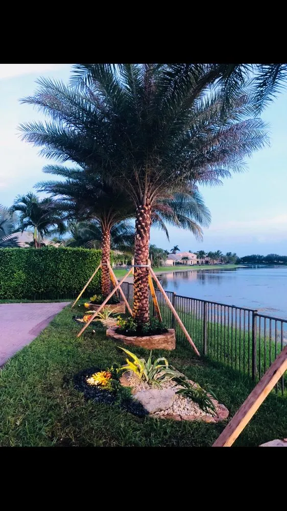 Affordable yard maintenance experts serving Boca Raton, FL - Jose Landscaping