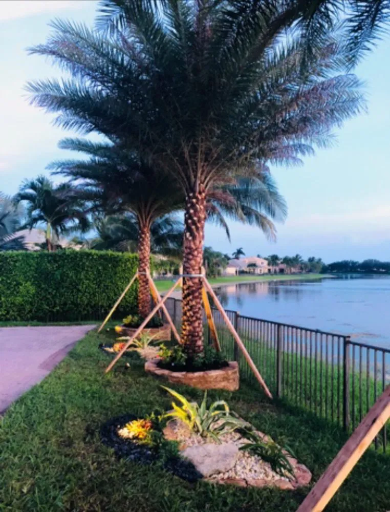 Professional yard cleanup service for year-round maintenance in Boca Raton, FL by Jose Landscaping