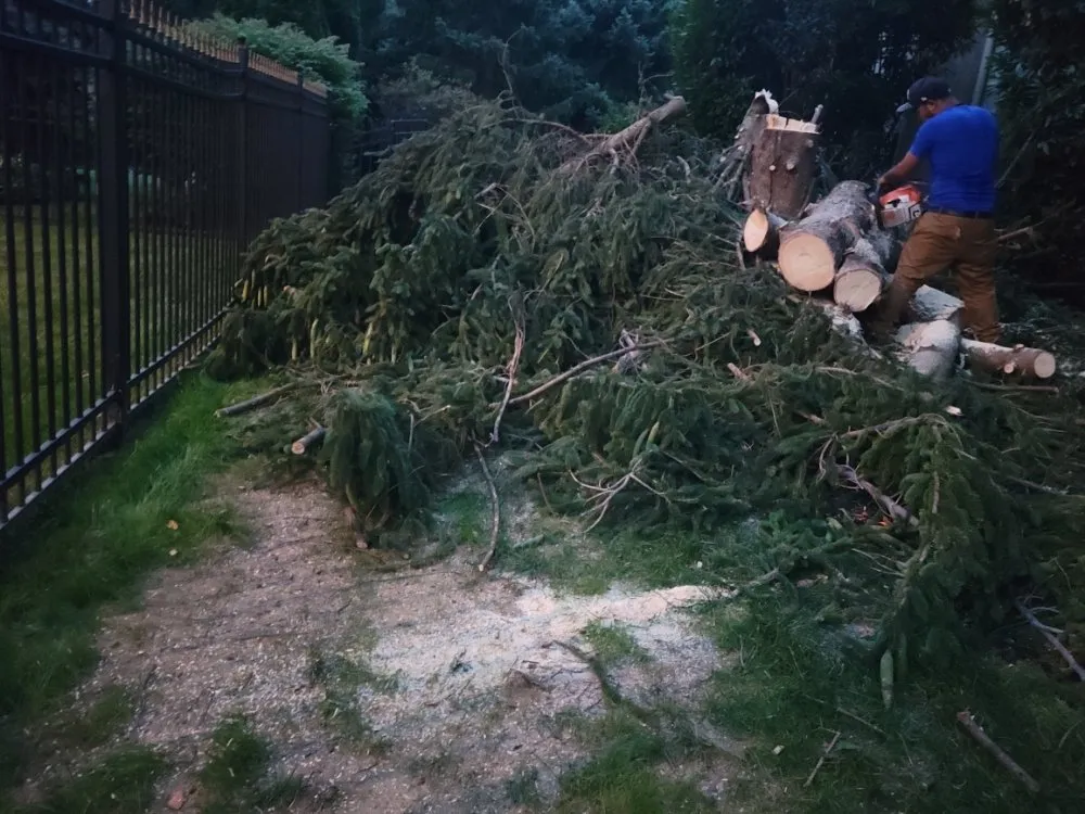 Trusted yard cleanup service in Coatesville, PA by Jose Landscaping