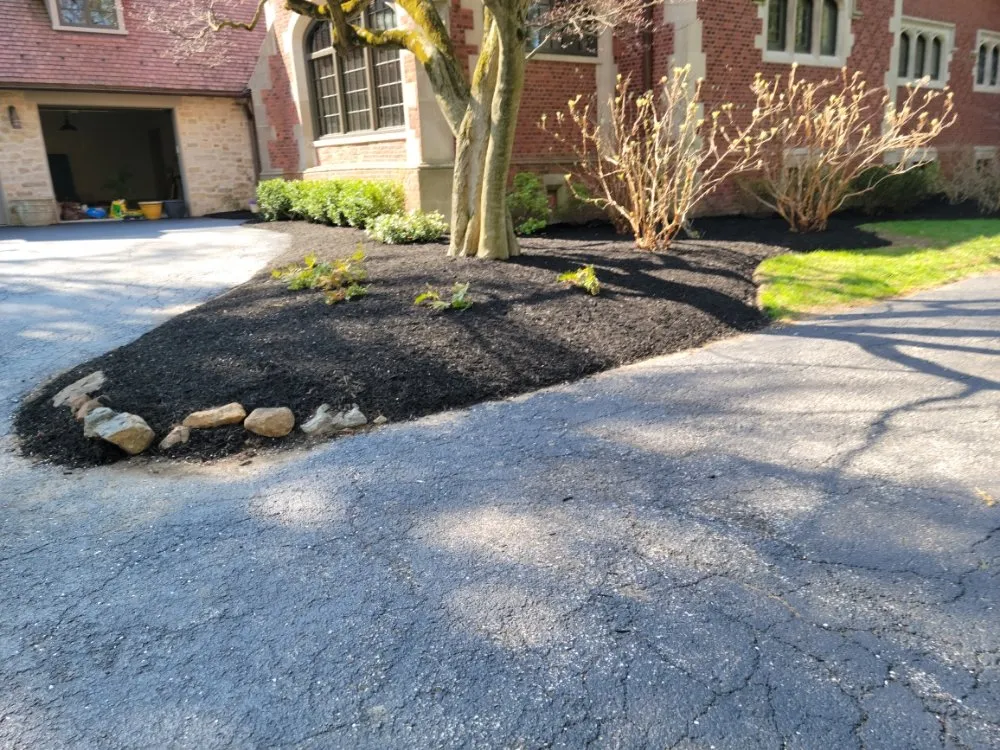 Reliable yard cleanup service experts serving Coatesville, PA - Jose Landscaping
