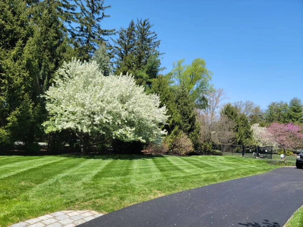 Affordable lawn care service in Coatesville, PA by Jose Landscaping