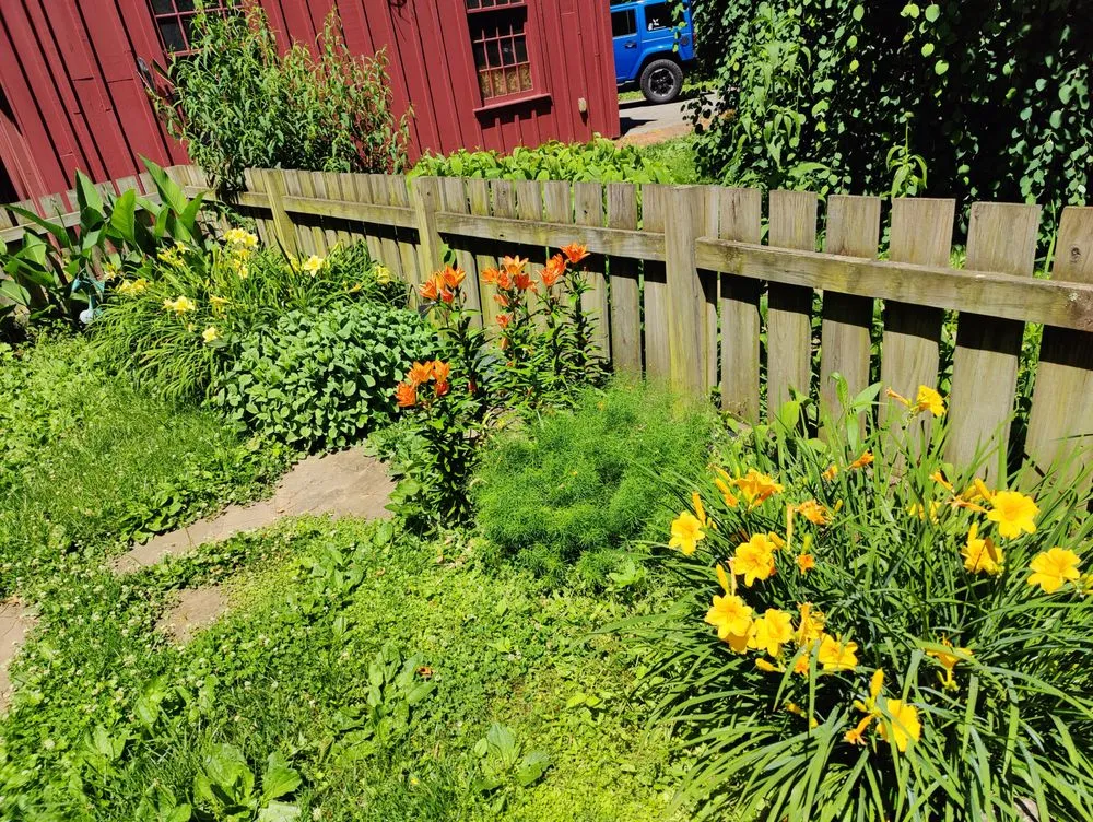 Local residential landscaping in Coatesville, PA by Jose Landscaping