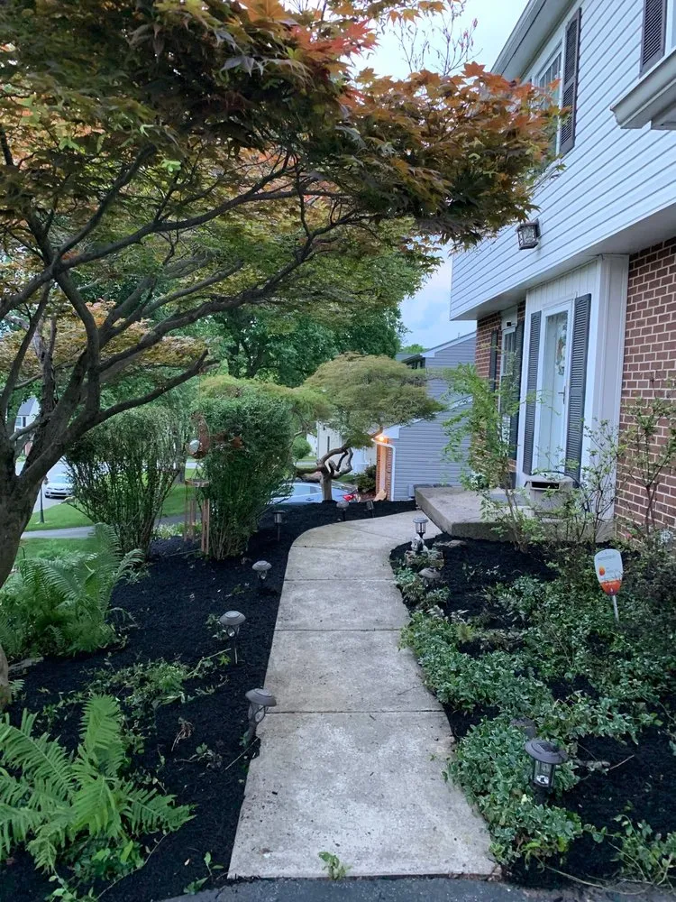 Reliable landscaping services in Coatesville, PA by Jose Landscaping