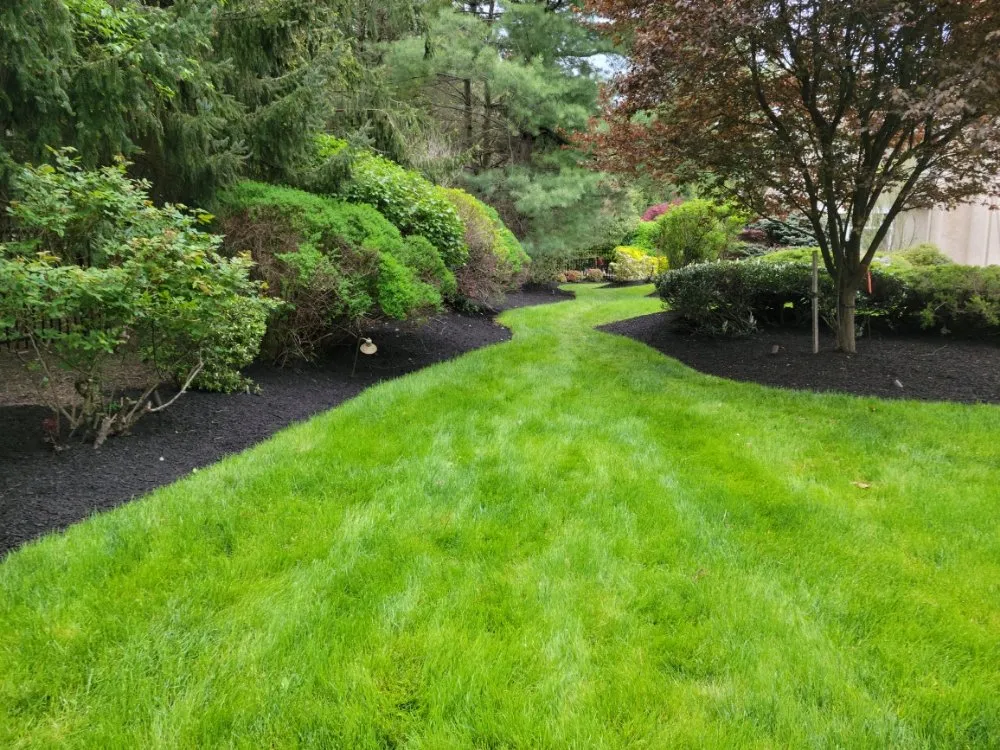 Reliable yard maintenance for residential properties across Coatesville, PA - Jose Landscaping