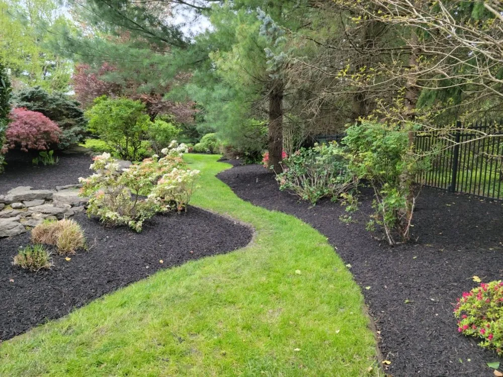 Local landscaping services near you across Coatesville, PA - Jose Landscaping