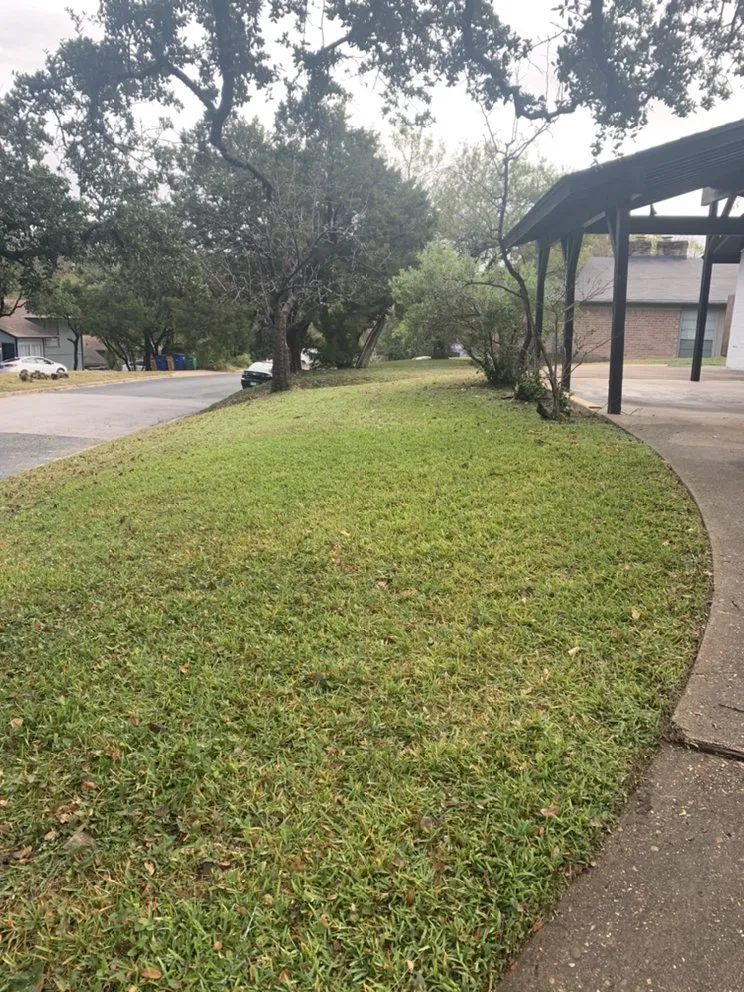 Top-rated lawn mowing service experts serving Elgin, TX - Jose Landscaping