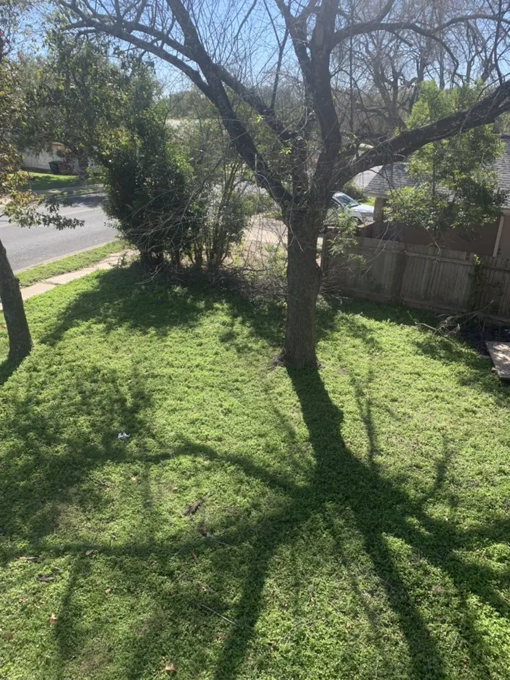Affordable lawn mowing service for beautiful yards across Elgin, TX - Jose Landscaping