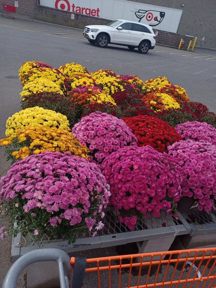 Expert residential landscaping for outdoor upgrades across Kings Point, NY - Jose Landscaping Great Neck