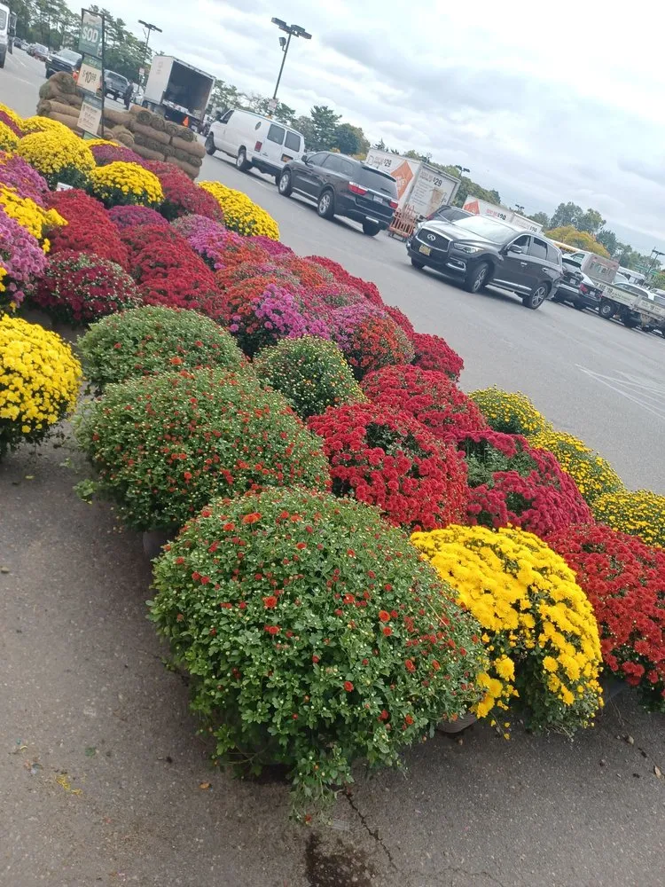 Professional residential landscaping experts serving Kings Point, NY - Jose Landscaping Great Neck