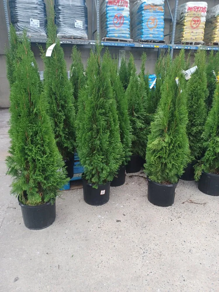 Trusted yard maintenance in Kings Point, NY by Jose Landscaping Great Neck