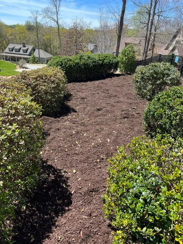 Top-rated yard cleanup service for year-round maintenance across Greenville, SC - Jose Landscaping