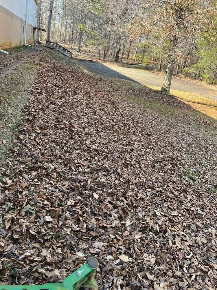 Trusted yard maintenance experts serving Greenville, SC - Jose Landscaping