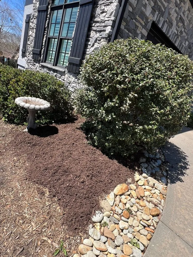 Professional lawn care service in Greenville, SC by Jose Landscaping