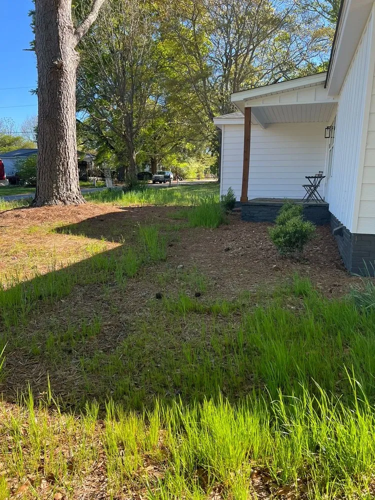 Affordable yard cleanup service with custom design in Greenville, SC by Jose Landscaping