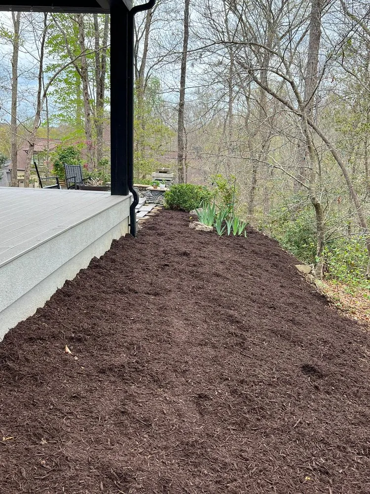 Affordable lawn care service for outdoor upgrades in Greenville, SC by Jose Landscaping