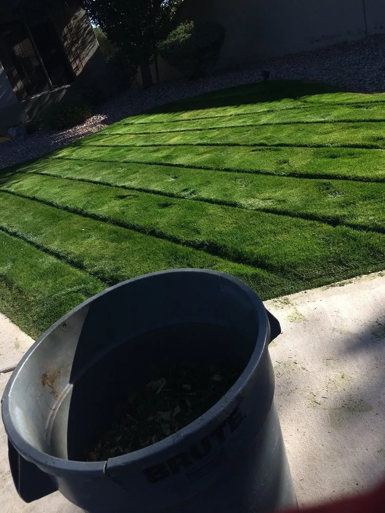 Reliable landscape design in Mesa, AZ by Jose Landscaping