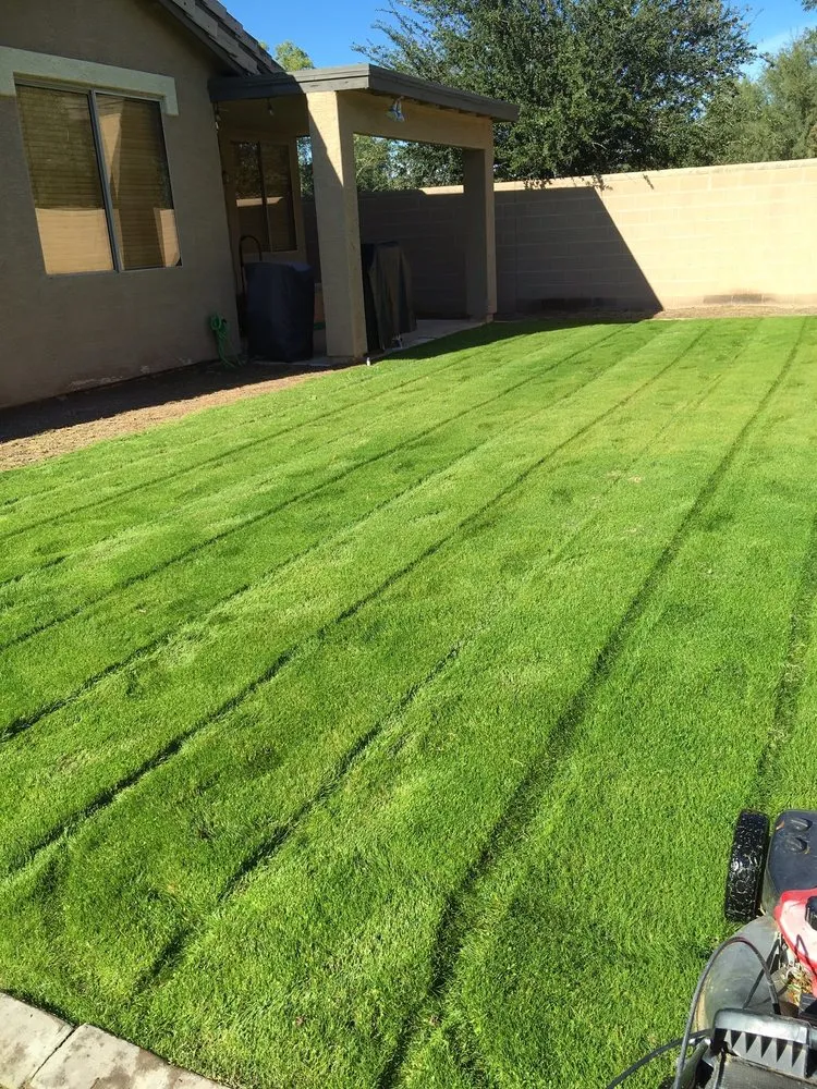 Trusted lawn mowing service in Mesa, AZ - Jose Landscaping