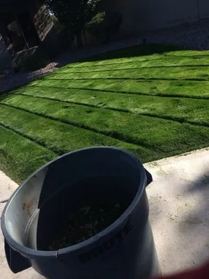 Jose Landscaping Logo