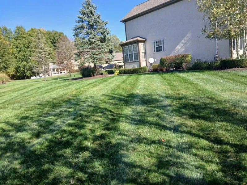 Local lawn mowing service for residential properties in Obetz, OH by Jose Landscaping