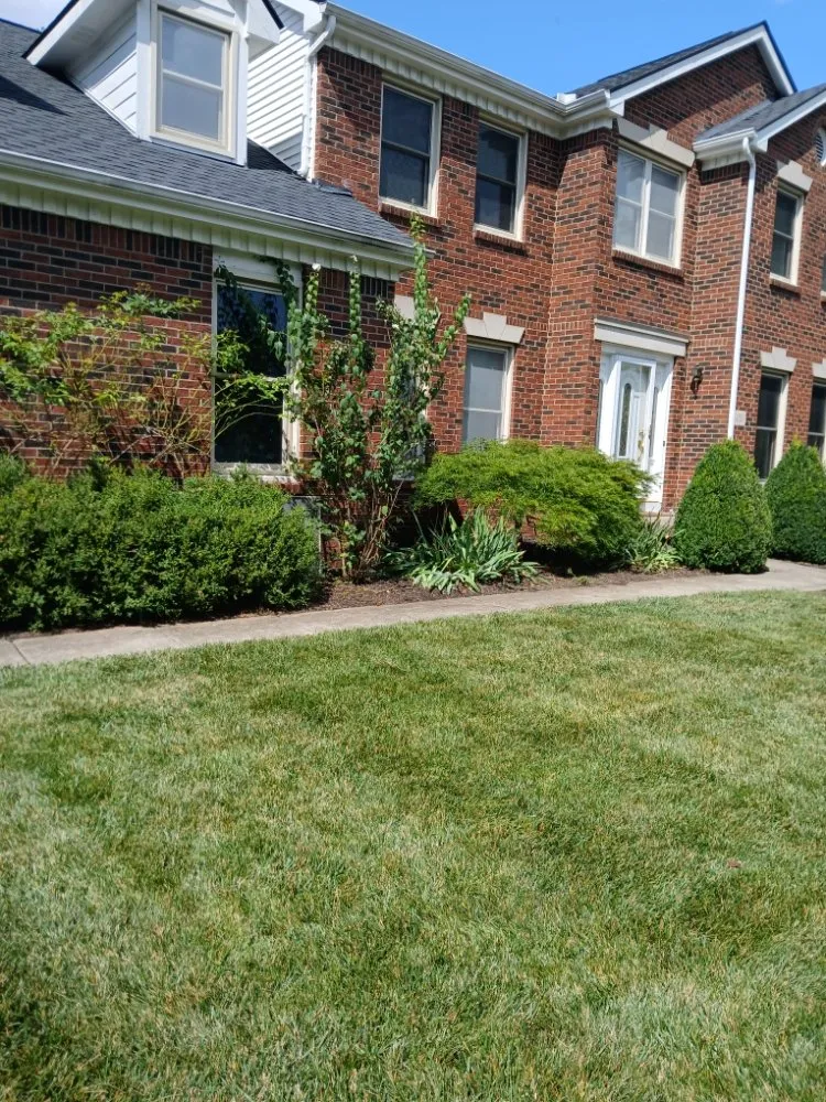 Local yard maintenance in Obetz, OH by Jose Landscaping