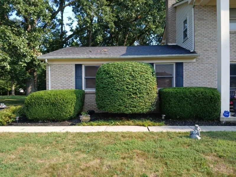 Professional outdoor landscaping in Obetz, OH - Jose Landscaping