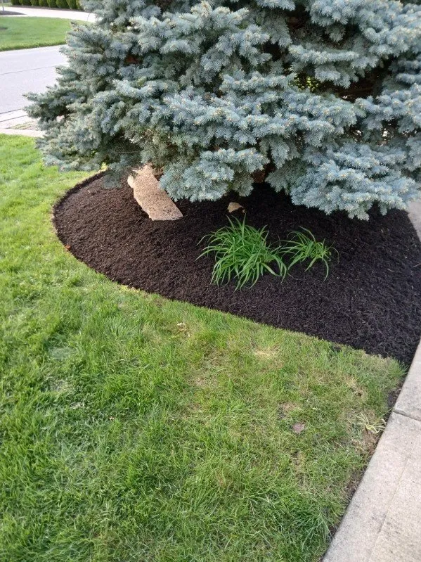 Local garden landscaping for beautiful yards across Obetz, OH - Jose Landscaping