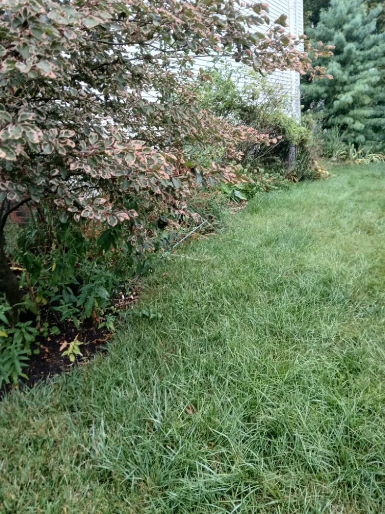 Reliable landscape design experts serving Obetz, OH - Jose Landscaping