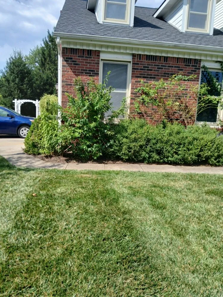 Local lawn mowing service in Obetz, OH - Jose Landscaping