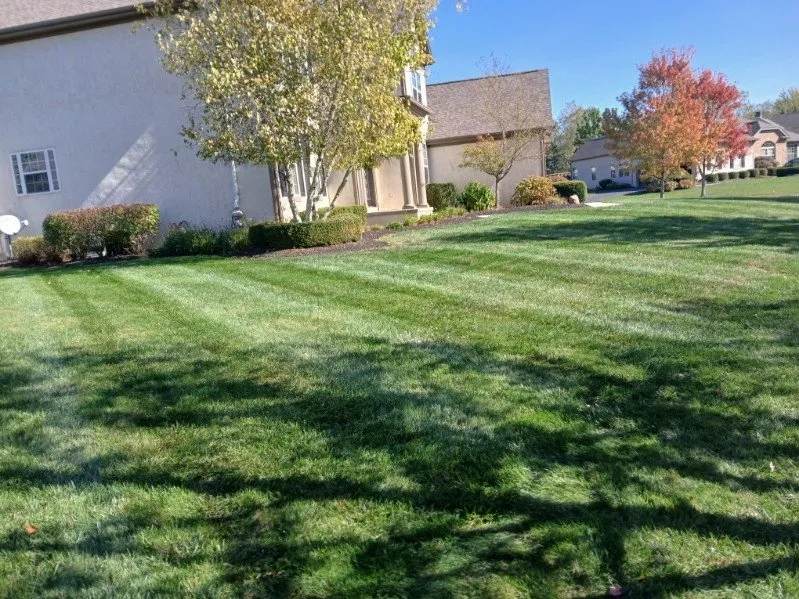 Local residential landscaping experts serving Obetz, OH - Jose Landscaping