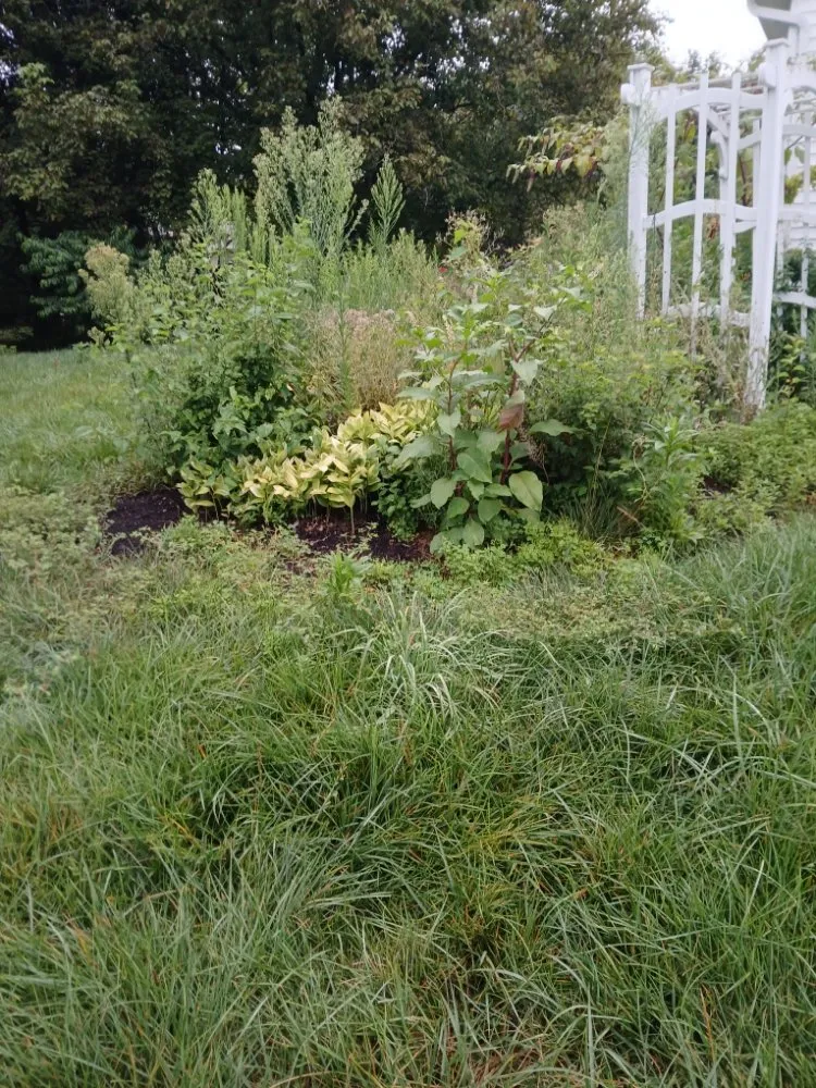 Reliable landscape design experts serving Obetz, OH - Jose Landscaping