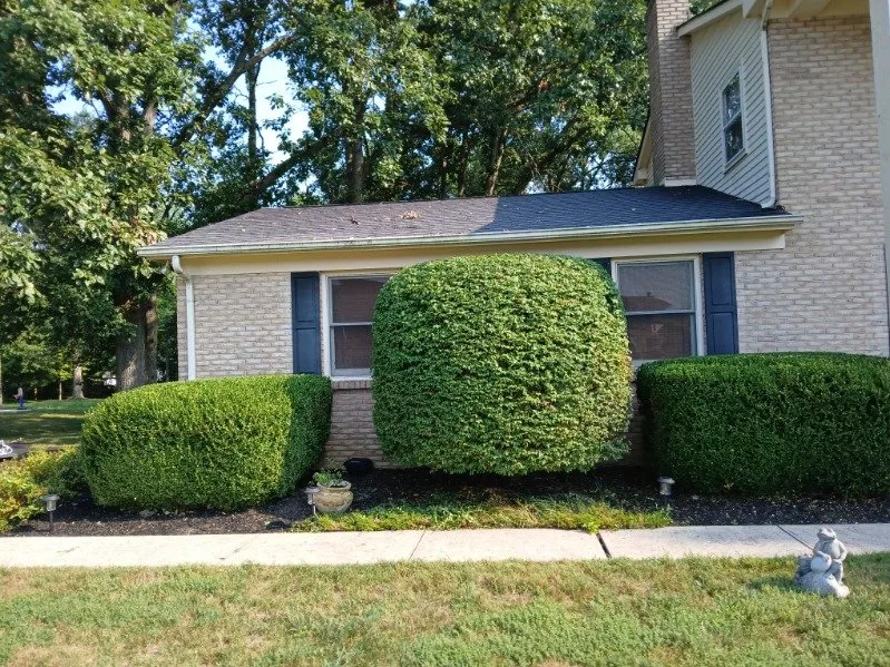 Local landscaping services for beautiful yards across Obetz, OH - Jose Landscaping