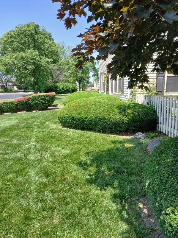 Trusted landscape design in Obetz, OH - Jose Landscaping