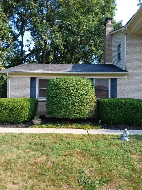 Custom yard maintenance in Obetz, OH - Jose Landscaping