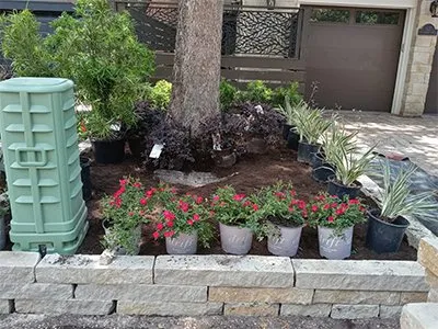 Custom lawn mowing service for beautiful yards in Houston, TX by Jose Landscaping Of Houston