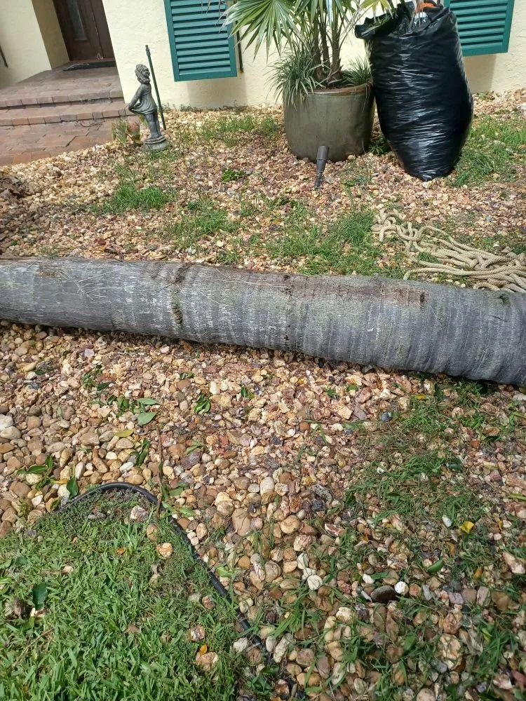 Trusted outdoor landscaping in Palm Springs, FL - Jose Landscaping