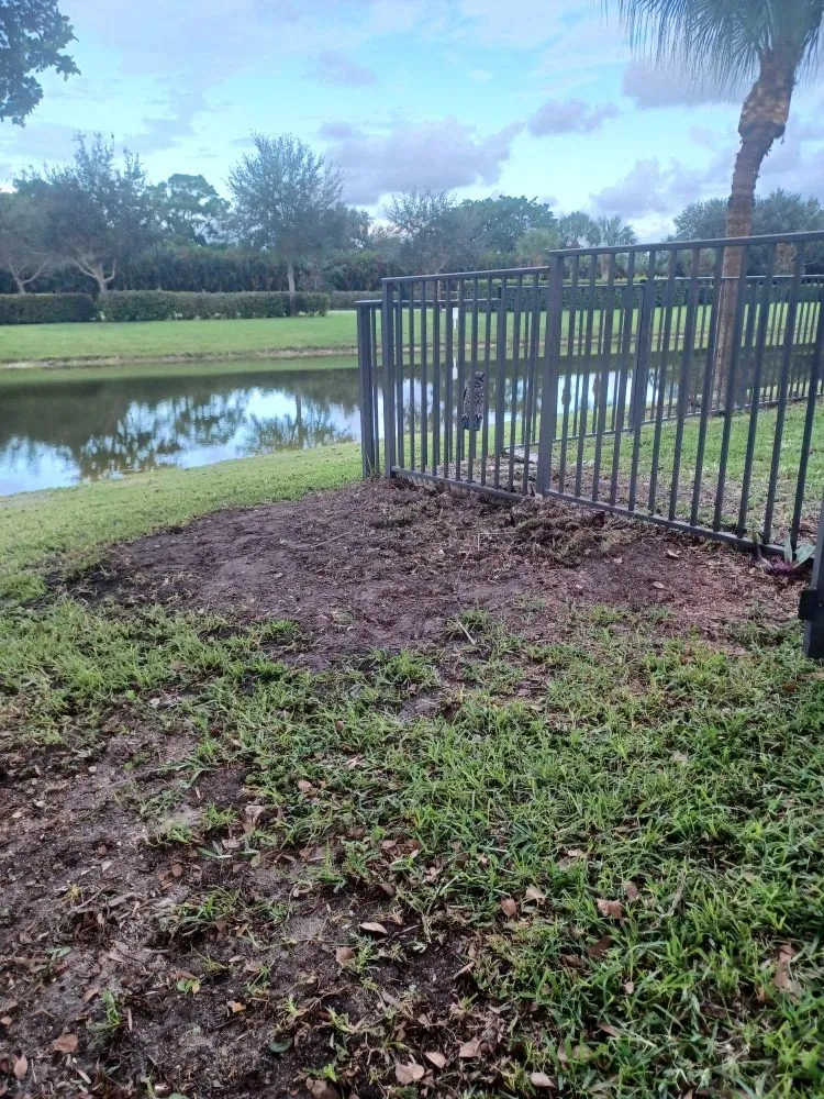 Affordable lawn mowing service experts serving Palm Springs, FL - Jose Landscaping