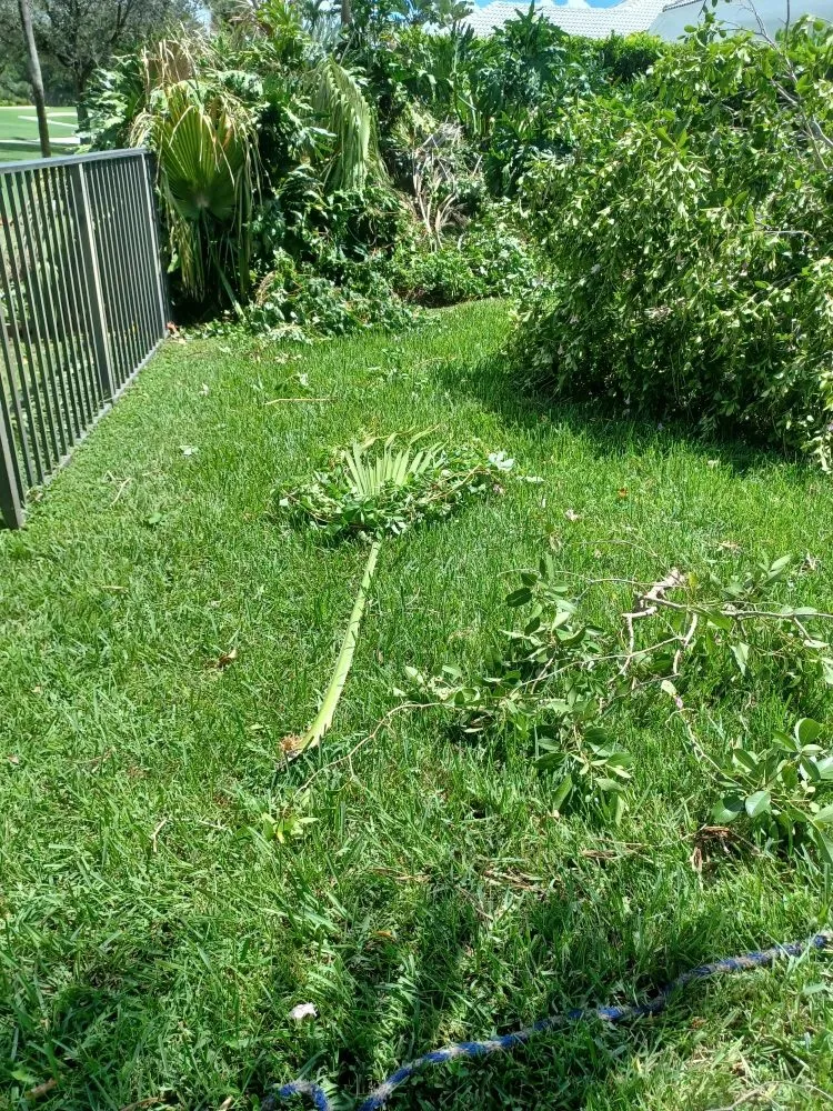 Reliable lawn care service with custom design in Palm Springs, FL by Jose Landscaping