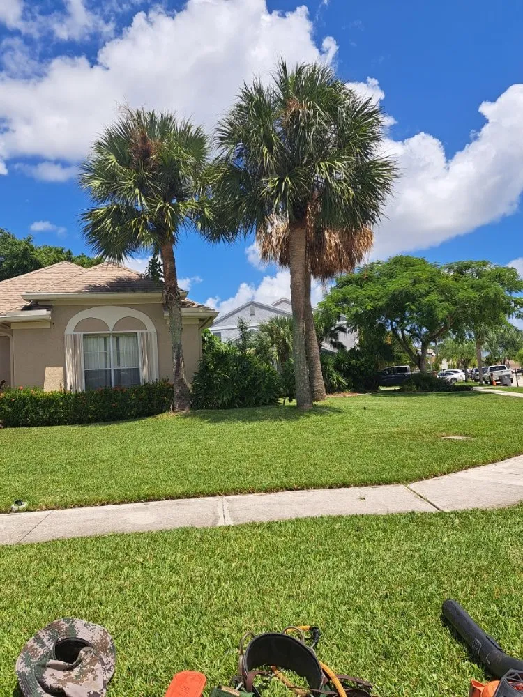 Expert lawn care service experts serving Palm Springs, FL - Jose Landscaping