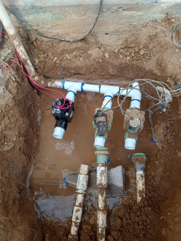 Professional yard cleanup service with custom design in Avondale, AZ by Jose Landscaping Services