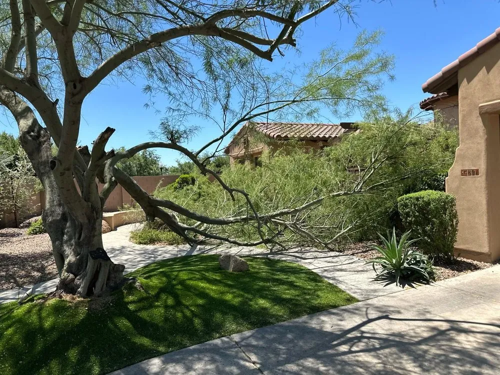 Expert residential landscaping near you in Avondale, AZ by Jose Landscaping Services