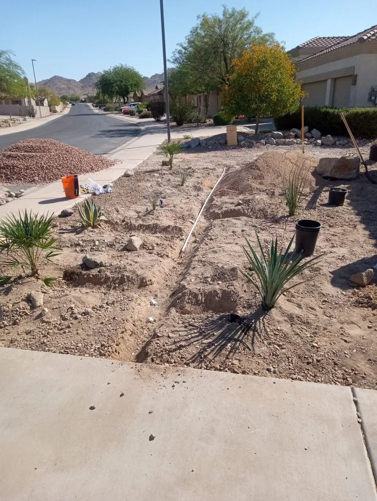 Top-rated residential landscaping in Avondale, AZ by Jose Landscaping Services