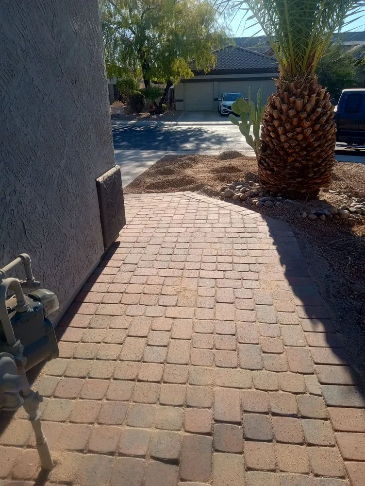 Reliable yard maintenance in Avondale, AZ by Jose Landscaping Services